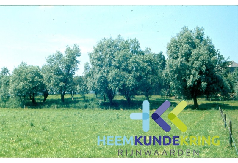 Omgeving `Hof Zum Walde`Spijk F00002204
